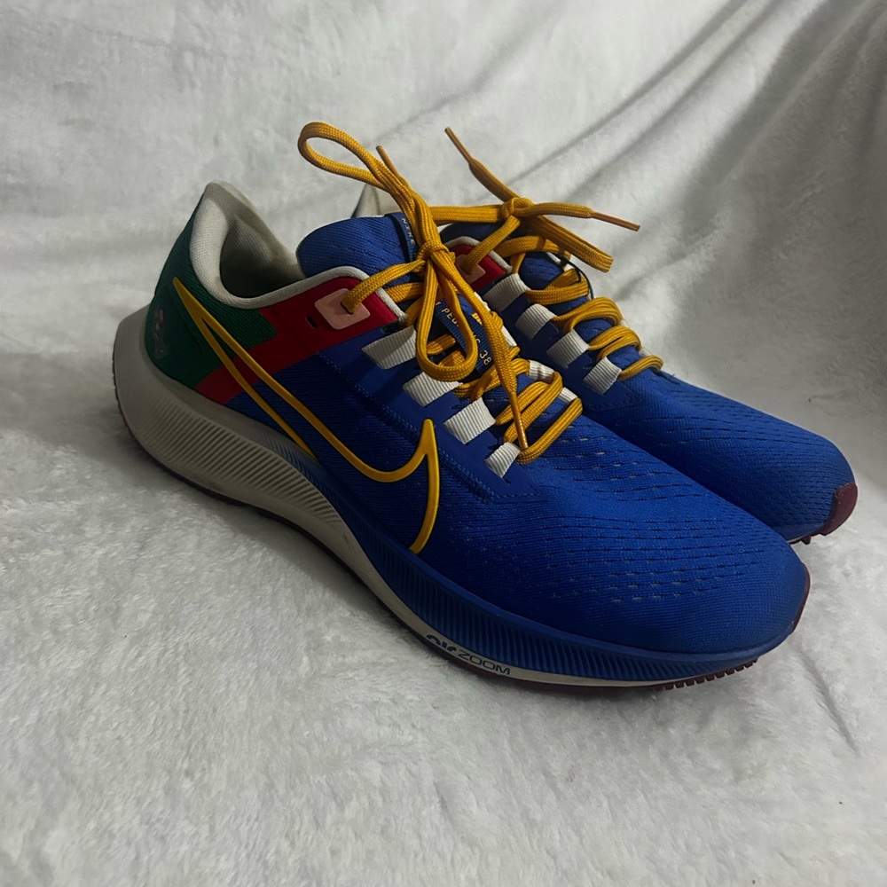 EUC Nike Jordan Moss X Air Pegasus 38